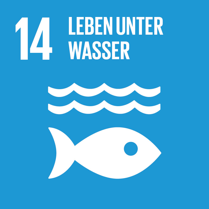 The graphic stands for the sustainability goal 14 "Life under water". It shows a white fish among white waves on a light blue background.