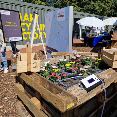 The photo shows a flower bed made of wooden pallets on the theme of pallet recycling.