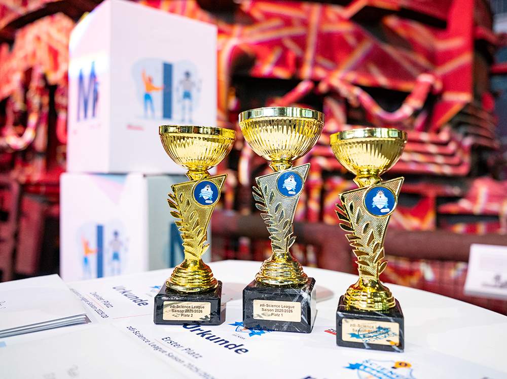 Auf einem Tisch stehen drei goldene Trophäen mit blauen Emblemen. Darunter liegen Urkunden, und im Hintergrund sind bunte Schachteln zu sehen.